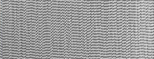2020-11-10_0829 2020-11-10_0829