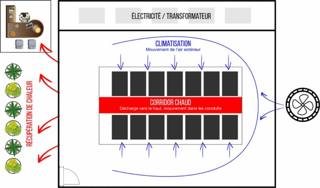 Graphic