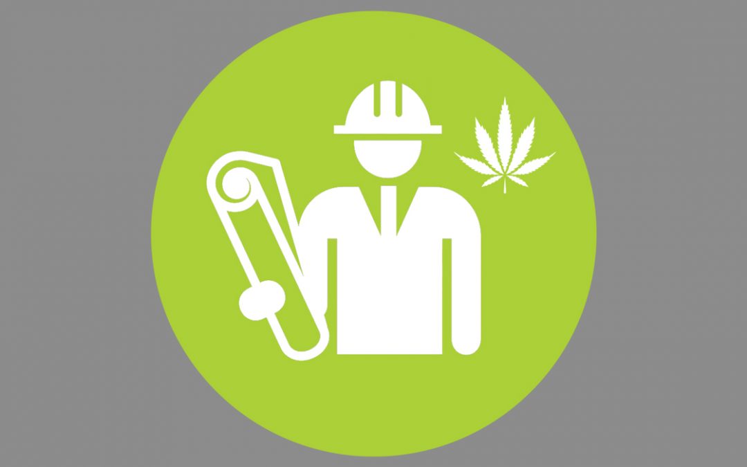 Votre guide initial : Mode de réalisation design-build de votre projet cannabis